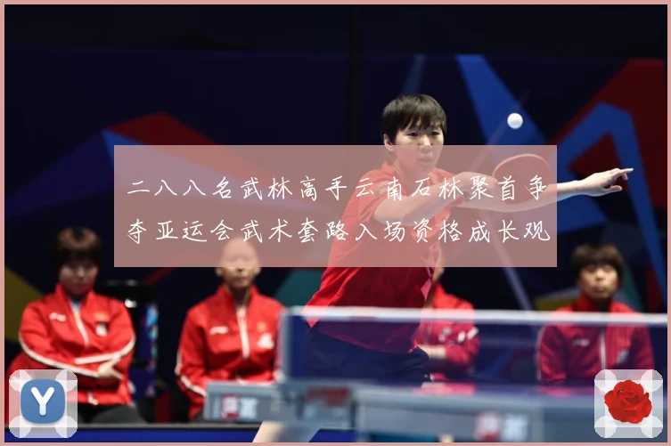 二八八名武林高手云南石林聚首争夺亚运会武术套路入场资格成长观察：最新赛事动态与深度分析