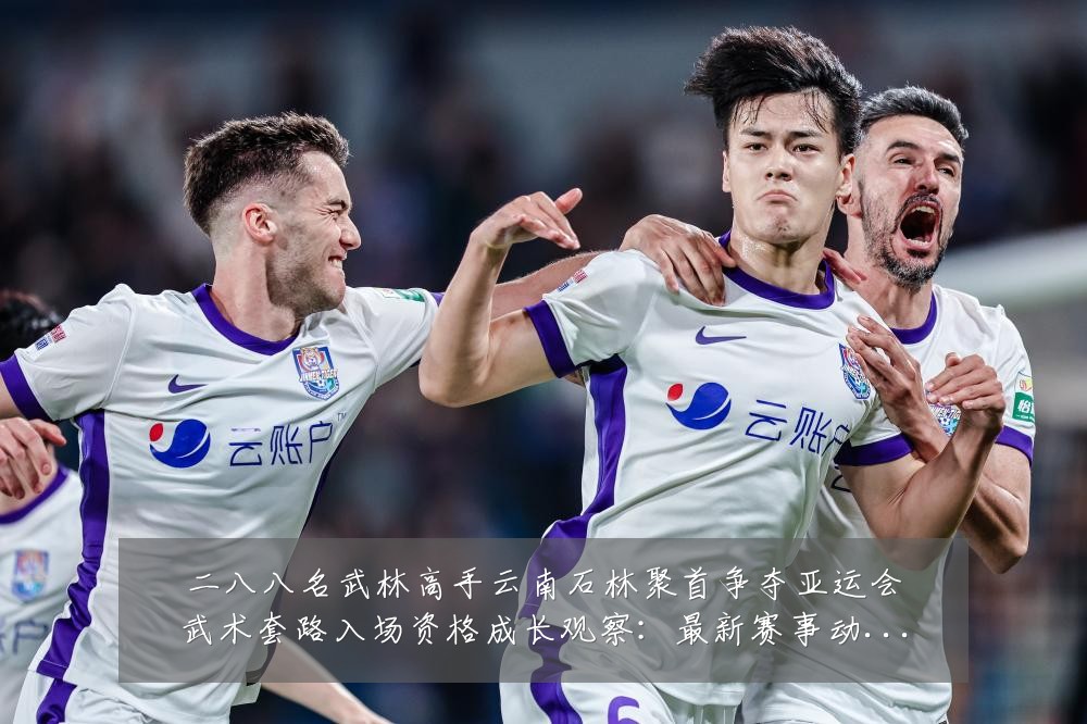 二八八名武林高手云南石林聚首争夺亚运会武术套路入场资格成长观察：最新赛事动态与深度分析